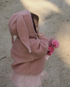 IMG_1366.jpeg