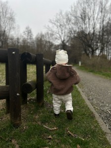 IMG_3960.jpeg